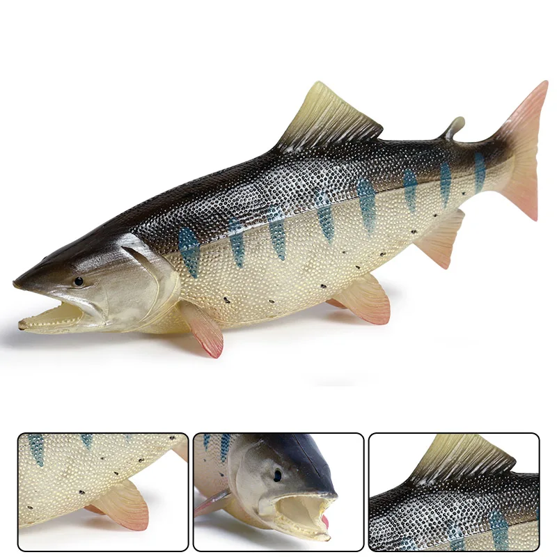 Oenux Meer Leben Tiere Modell Action-figuren Ozean Fisch Segelfisch Bass Zacker Lachs Aquarium Figuren PVC Pädagogisches Kinder Spielzeug – Detail 5