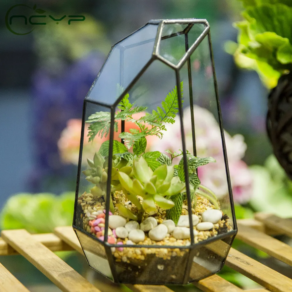 NCYP Modern Irregular Glass Flower Pot Large Geometric Terrarium Fairy Garden Miniatures Vintage Glass Victorian Flowerpot