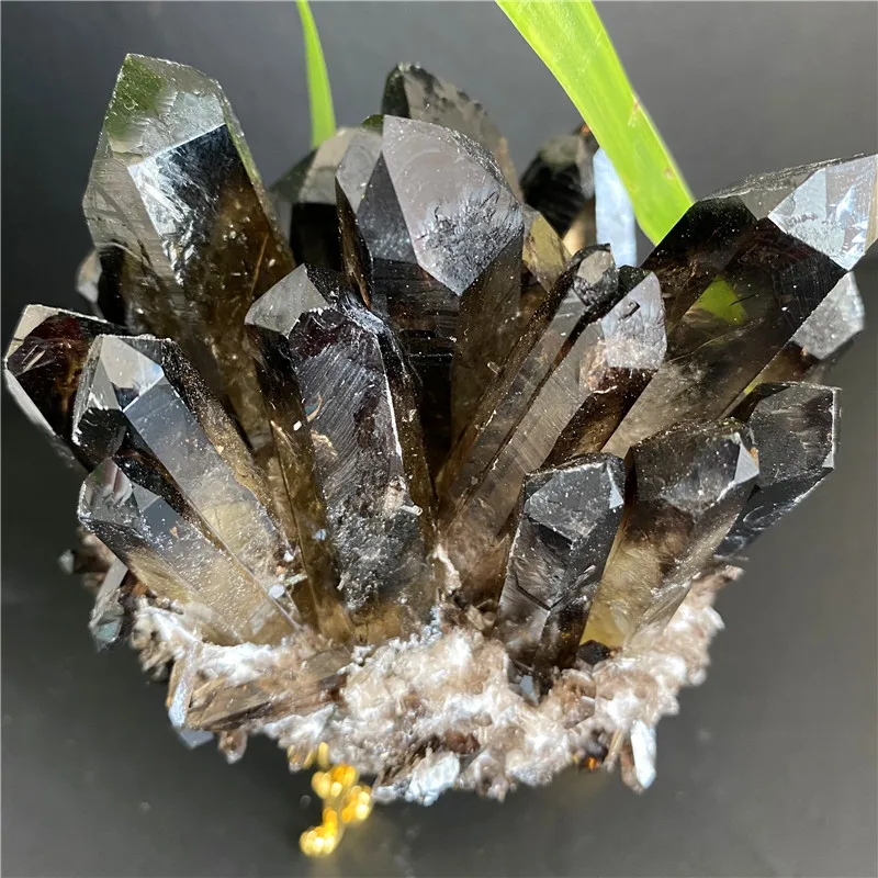 Top Natural Morion Citrine Phantom Quartz Crystal Cluster Point Healing Specimen Collection Home Feng Shui Decor