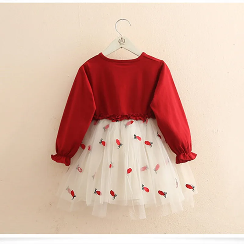 Spring Autumn 2 3 4 6 8 10 Years Children Clothing Long Sleeve Embroidery Mesh Patchwork Princess Dress For Kids Baby Girl