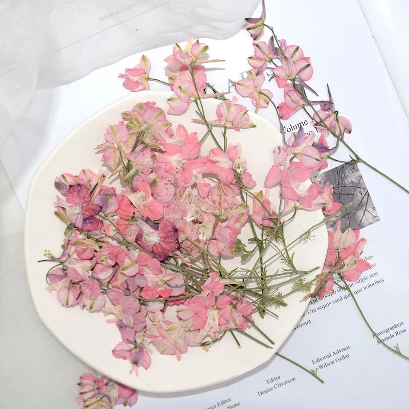 

60pcs/8-15cm,Natural Pressed Real touch flower petals with branches,DIY Wedding invitation gift card Scented candle decoration