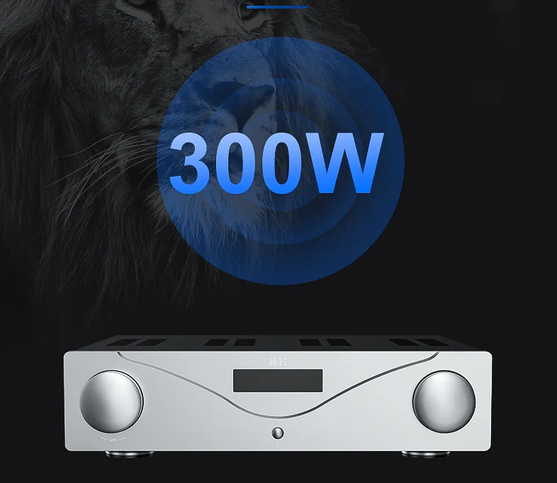 NEW  I03 high fidelity HiFi fever pure power amplifier 300W high power home amplifier audio With remote control