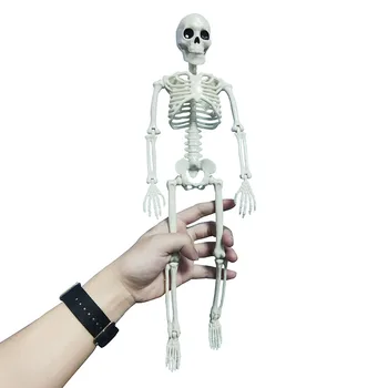 Persone Active Model skeleto Anatomy scheletro scheletro modello apprendimento medico decorazione per feste di Halloween Skeleton Art Sketch
