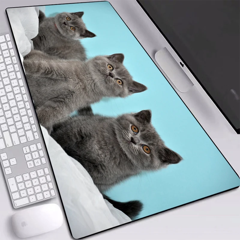 

Animal Gray Cat Printed Pad HD Wallpaper Play Mat Large Personality Custom Table Mat Mice Pad 60x30/70x30/90x40cm for DOTA Games