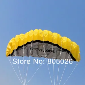 Dual Line Stunt Power Kite, weicher Parafoil -Drachen, Surffliegen, Spaß im Freien Sport Kite, Kiteboard, Koi -Fabrik, 2,5 m, kostenloser Versand 10 Hauptverkaufs -Surfspielzeug - №9