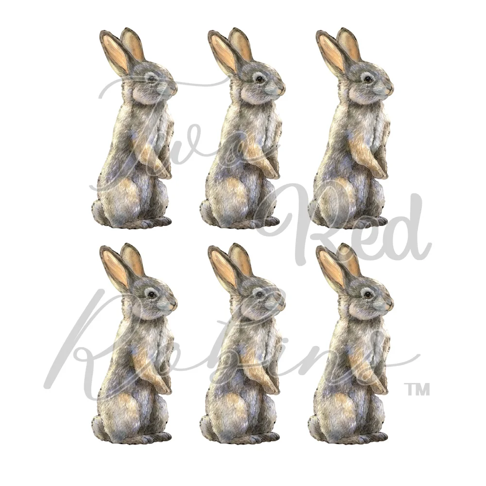 Two Red Robins rabbit Mr Nosey Die Set 2021 New Die Molds Scrapbooking Paper Making Cuts Crafts Big Dies DIY Metal Die Cutting