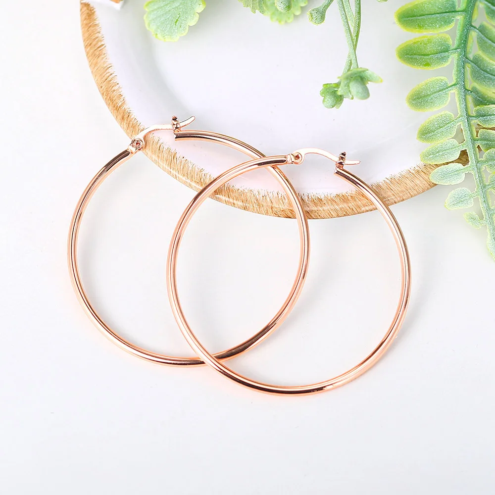 Big Hoop Earrings For Women Minimalist Circle Classic Cartilage Earring Rose Gold Color Hoops Fashion Jewelry Wholesale E780