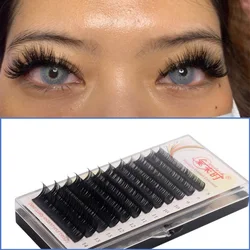 Wimpernverlängerung 0,03 m bis 0,25 mm, alle Größen, BCD Curl, weiche Seide, Korea-Einzelwimpern, natürliche weiche falsche Wimpernverlängerungen