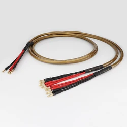 Cardas Hexlink Golden Five 5C 10AWG OCC Copper Speaker cable HIFI Audiophile Cable 2 banana to 4 banana connector Plug