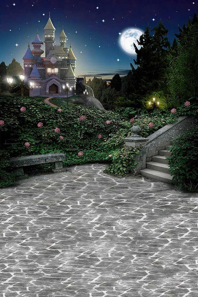 Full Moon Castle Background For Girl Birthday Photography Wedding Bridal Shower Photographic Backdrops For Photo Studio Shooting