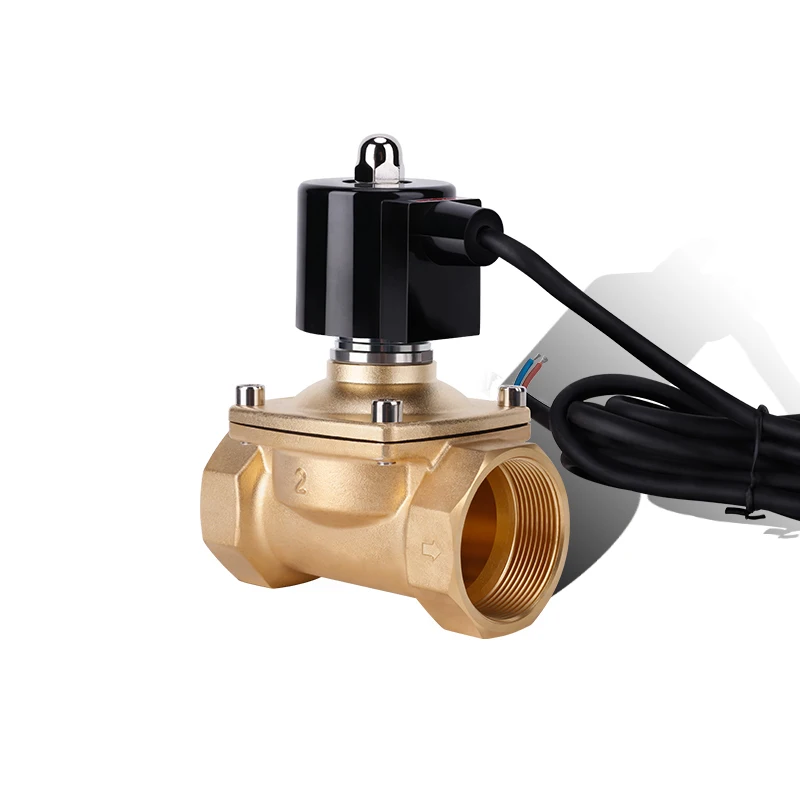 

2" Normally Closed Brass IP68 Waterproof Fountain Solenoid Valve 110V 24V 12V 24v Solenoid Valve For Underwater