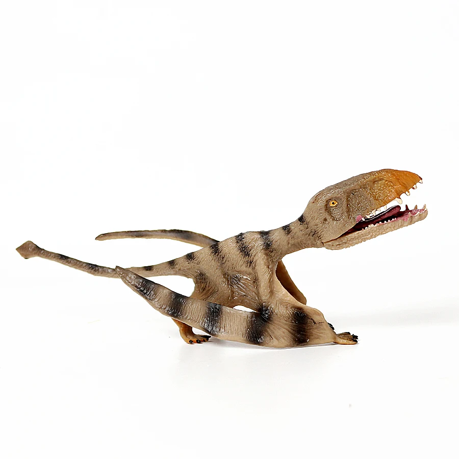 Figurines d'animaux de dinosaure de simulation, jouet classique, figurines d'action ptérodactyle, Pteranodon archaeopteryx, jouets de collection de modèles d'animaux