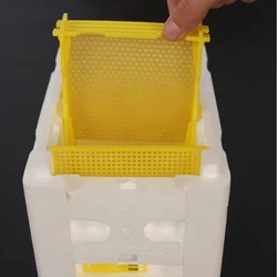 Beehive Beekeeping King Box Foam Home Bee Hive Pollination Boxes Harvest Bee Hive Beekeeper Mating Supplies