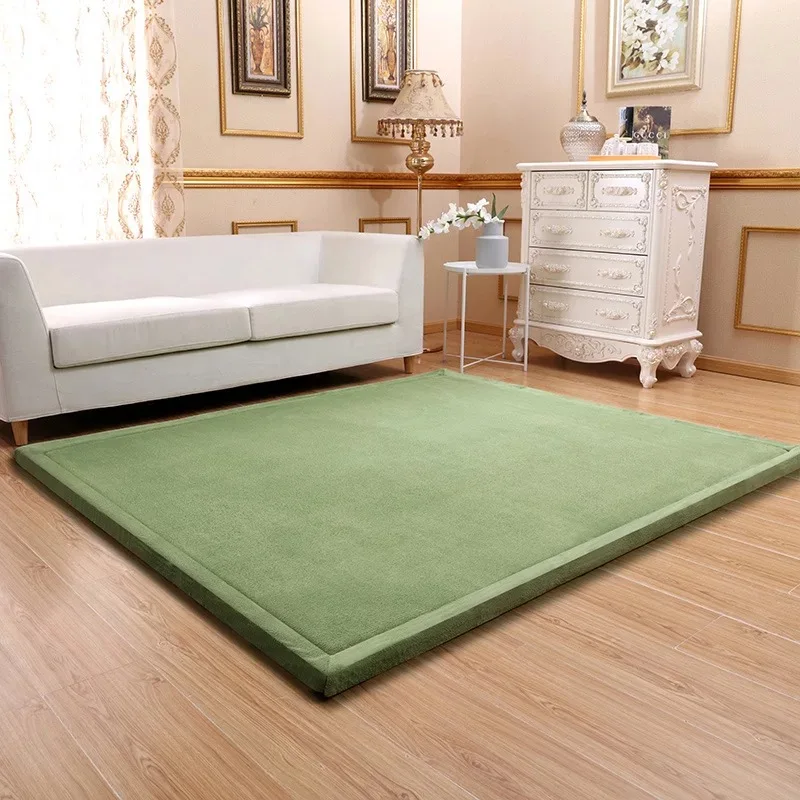 Coral Fleece Thick Carpet 2cm/3cm Thickness Velvet Cover Sponge Mattress Luxury Soft Living Room Bedroom Mat Custom Made Carpet