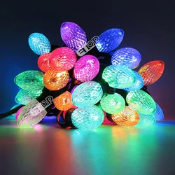 500pcs 100pcs C9 Flat Base S24 Christmas Lights WS2811 RGB Nodes With Raywu/Xconnect/Paul Zhang Type Waterproof Connector