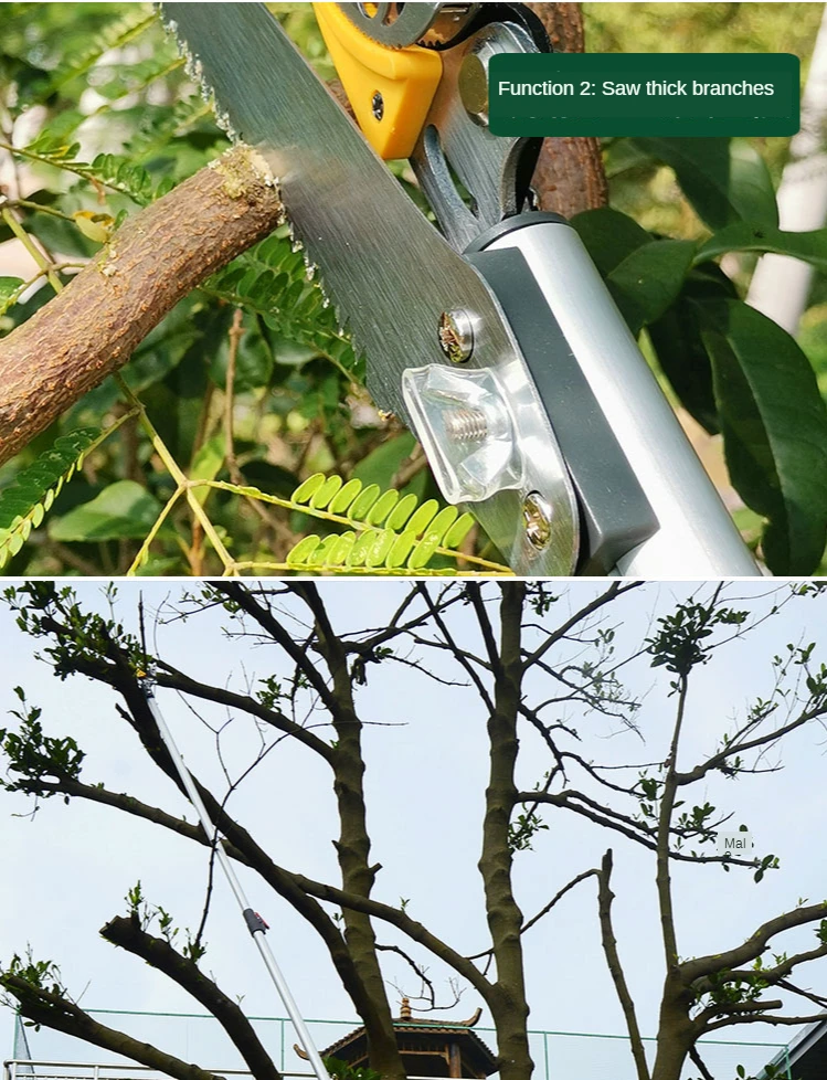 Tijeras de podar de árboles frutales, herramienta de poda de ramas altas, telescópica de jardín, 3 metros de altura mejorada