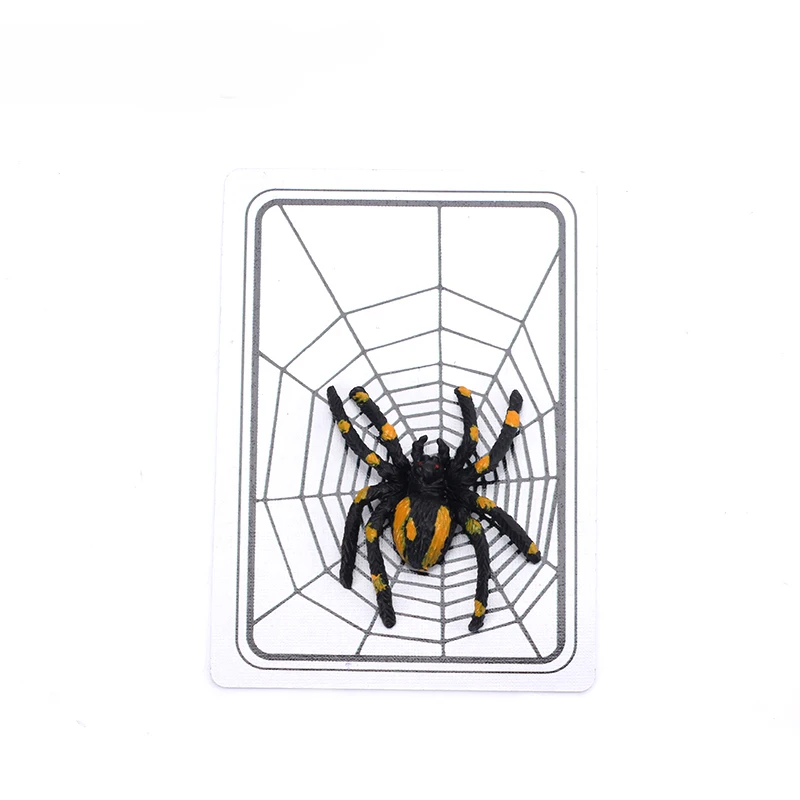 Spider And Net Magic Trick The Web Trick Cards Magic Props Magic Tricks Toys Magician Gimmick Magic Illusion