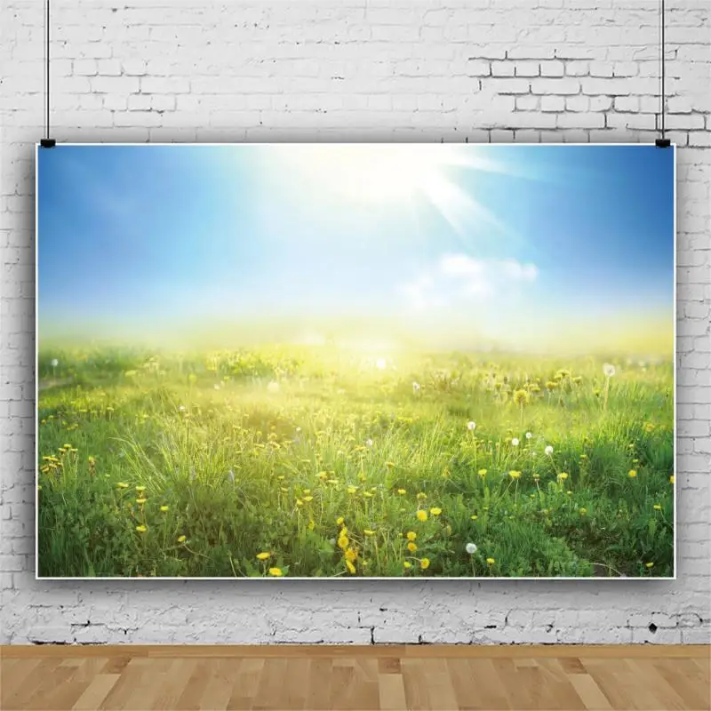 Laeacco Spring Rural Park Photography Backdrops Light Grass Room Decro Portrait Nature Scenic Photographic Backgrounds Photozone