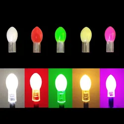 3 sztuk/partia Lightstick wędkarstwo lampa Led światło wędkarskie atraktor Starlight spławik wędkarski akcesoria praca z CR425/CR311 B552