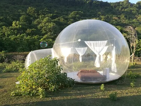 

New Design Garden Bubble Tent Garden Igloo Tent On Sale 3M/4M/5M Dia Bubble Hotel Transparent Bubble Dome Tent Bubble Tree