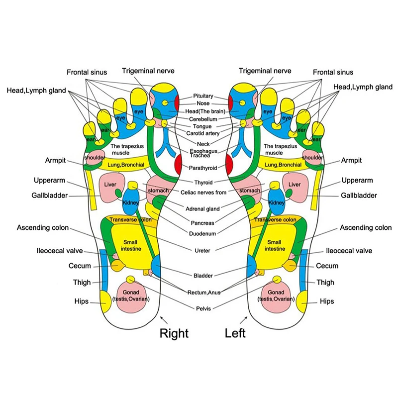 Acupuncture Healthy Relaxation Man And Women One Pair Foot Slipper Sandals Reflex Stress Rotating Foot Massage Shoes