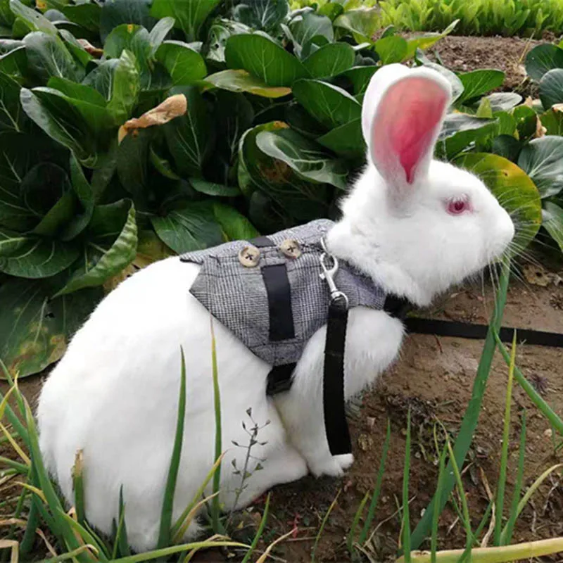 Rabbit Harness Pet Strap Chinchillas Guinea Pig Vest Clothes Multipurpose Suit Small Animals Pet Leash Lead Vest Arnes Conejo