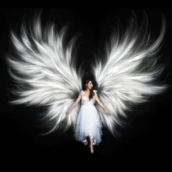 Feathers, Angel Wings, Fire, Clouds and Other Special Effects, Light Brushes, Connecting Devices, Expandable Knife Pen Stick etc