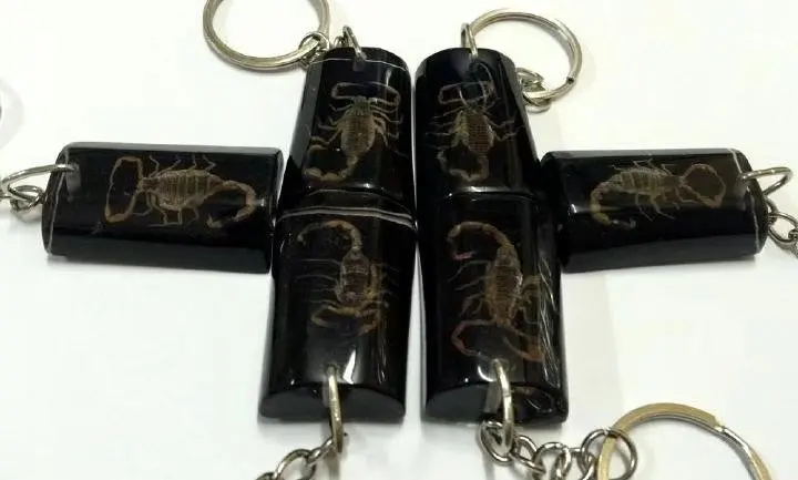 16 PCS Trendy Accessories Black Back Style Gothic Fashion Scorpion Keychain