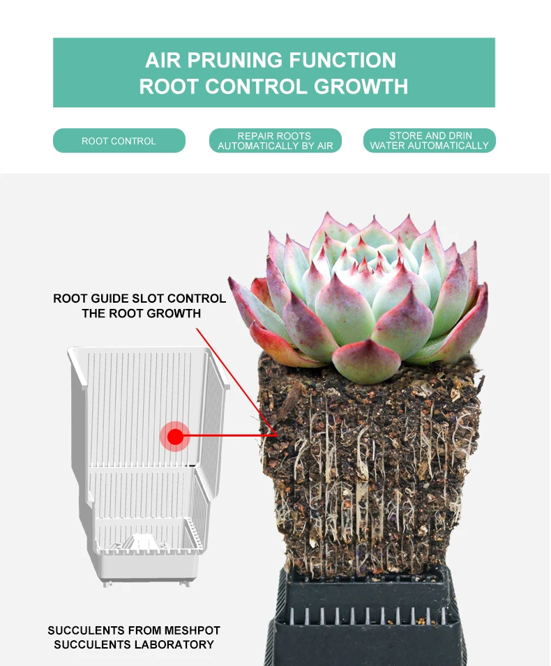 Meshpot Kunststoff Sukkulenten Topf High Saist Kaktus Pflanzer Bonsai Garten Lieferant aus gezeichnete Drainage und atmungsaktive Pflanzen Topf – Detail 8
