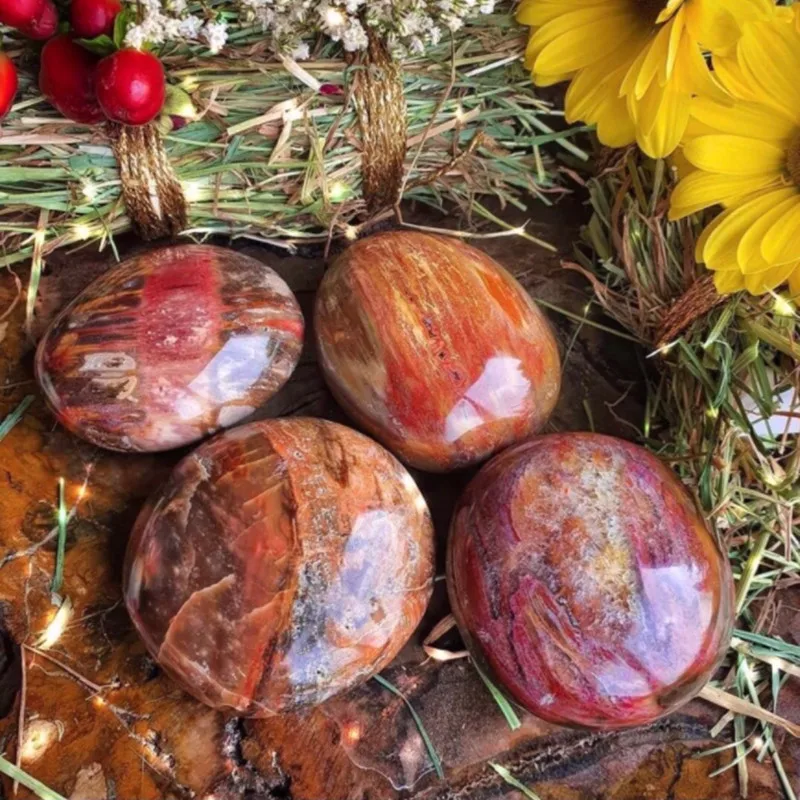 Natural Stone Beautiful Petrified Wood Palm Stone Healing Crystals Decorative Collection Stones And Crystals