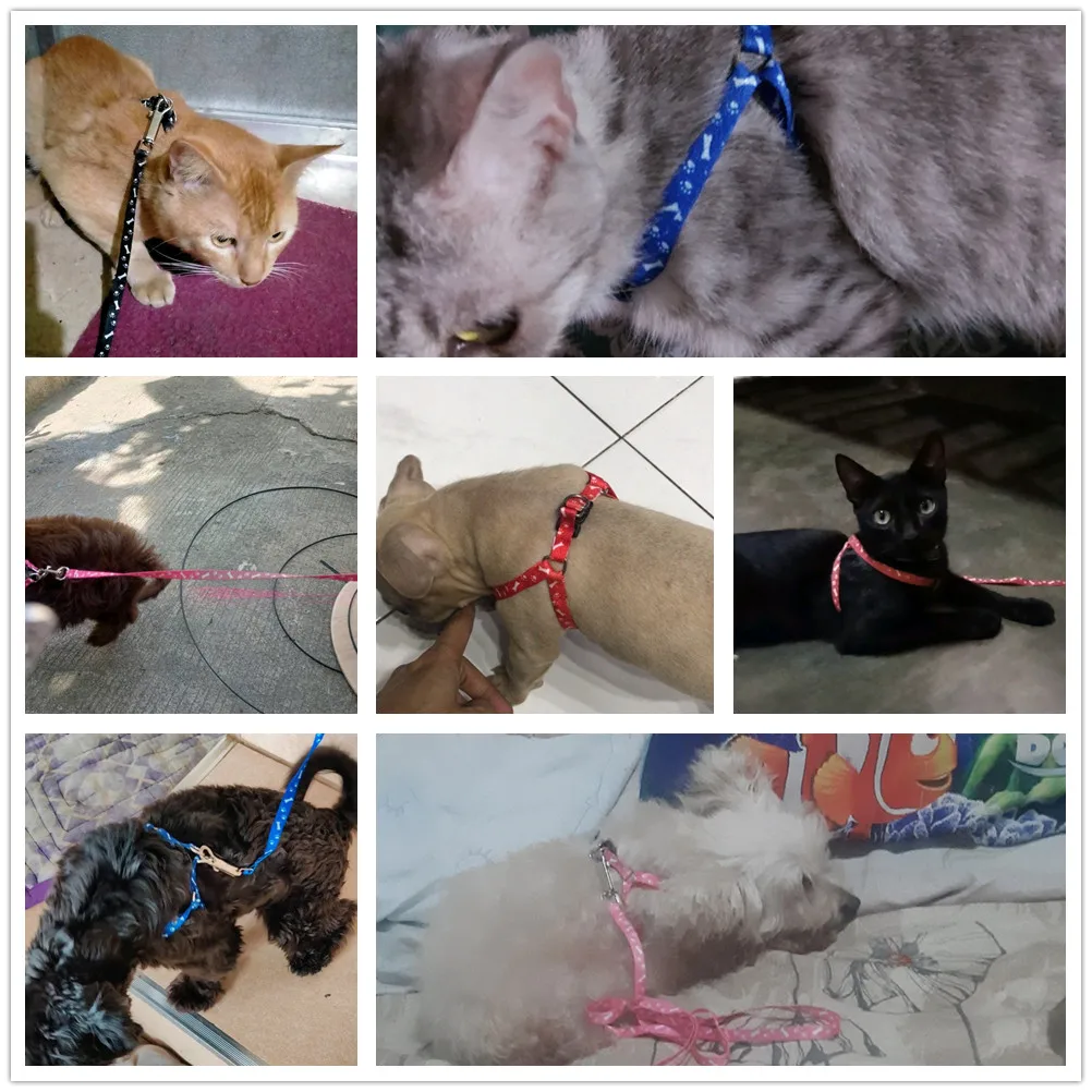 Cat Dog Collar สายจูงสายรัด Soft Breathable ลูกสุนัขสายคล้องคอสำหรับสายพันธุ์ขนาดเล็กสุนัขอุปกรณ์สำหรับสัตว์เลี้ยง Chihuahua