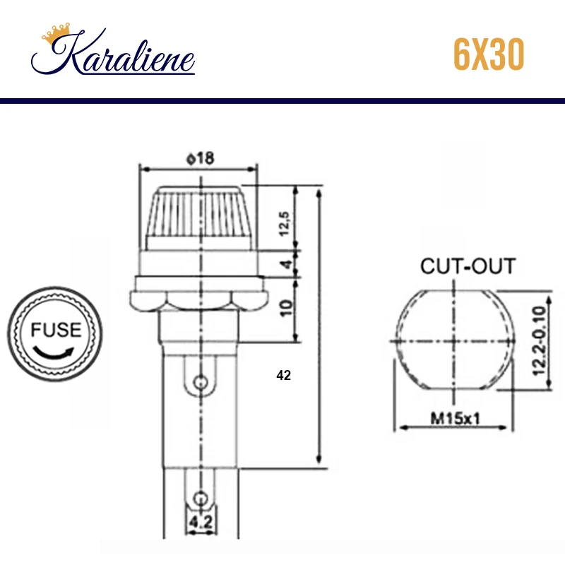 10PCS R3-13 Screw Cap Panel Mount 6*30mm Glass Fuse Holder