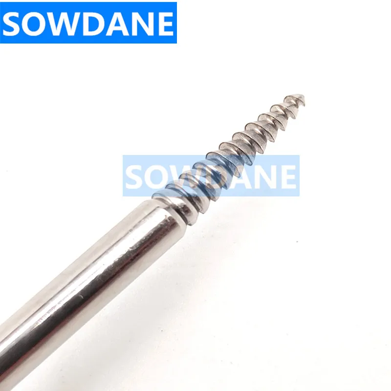 Dental Elevator Flex Periotome Root Tooth Extraction Screw Dental Root Screw Extractor Sand Blasting Dental Extraction Tool