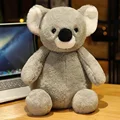Coala