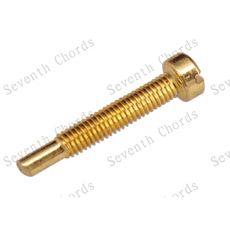 12 Teile/los Polstück Schrauben Für Elektrische Gitarre Humbucker Pickup Abdeckung Gold Und Schwarz Silber Musical Instrument Zubehör – Detail 7