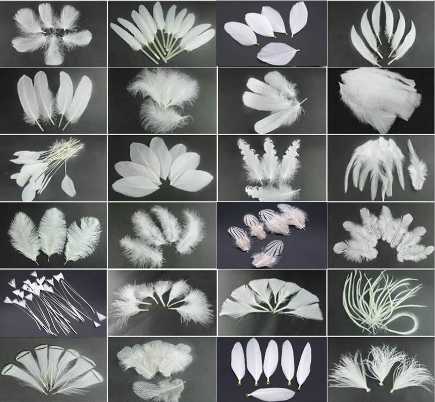 50Pcs/Lot! White Os…