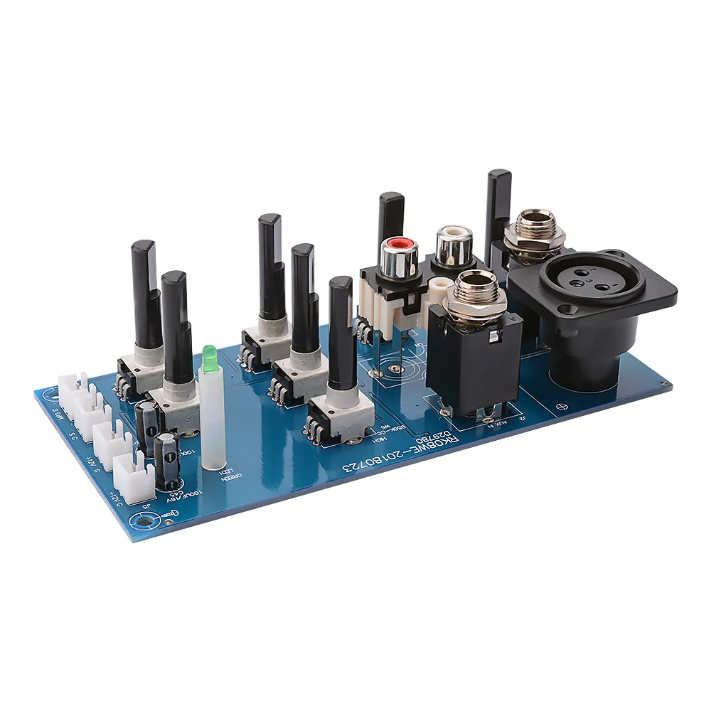 AIYIMA Mikrofon Reverb Vorverstärker Bord 2 Straße EQ Ton Ausgleich Mit Aux DIY Sound Verstärker Heimkino