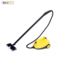 Multi-Purpose High Temperature Steam Cleaner Fumigation Formaldehyde Removal For House Hold Kitchen Car Killing Bacterial Virus