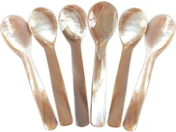 1PC Mother of Pearl 3.55′′ Tiny Spoons for Caviar Egg Serving Dessert Coffee Hand Made Natural Shell Spoon DEC669