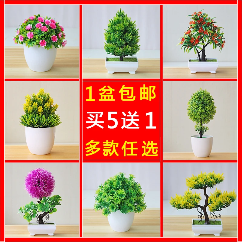 

Home living room indoor wine cabinet green plant decoration simulation plant potted ornaments succulent artificial flower bonsai