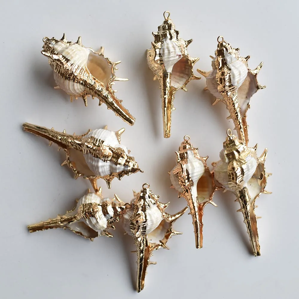 Wholesale 12pcs/lot Natural Gold color side Conch Shells For DIY Pendant Beige Seashell Craft Handmade jewelry Accessories free