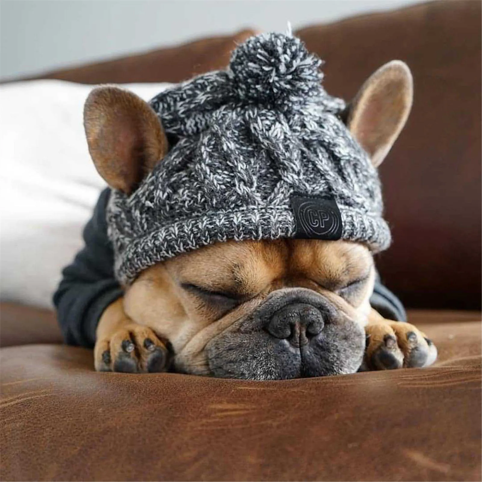 Winter Warm Dog Hats Windproof Knitting French Bulldog Hat For Dogs Chihuahua Hat Fluffy Ball Puppy Accessories Pet Hats