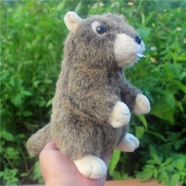 giocattolo realistico circa 21 cm marmotta peluche bambola morbida giocattolo per bambini regalo di Natale h0558