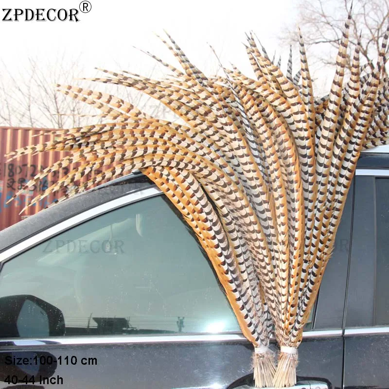 ZPDECOR-Reeves Venery Pheasant Feathers, Size 100-110 cm, 40-44 Inch