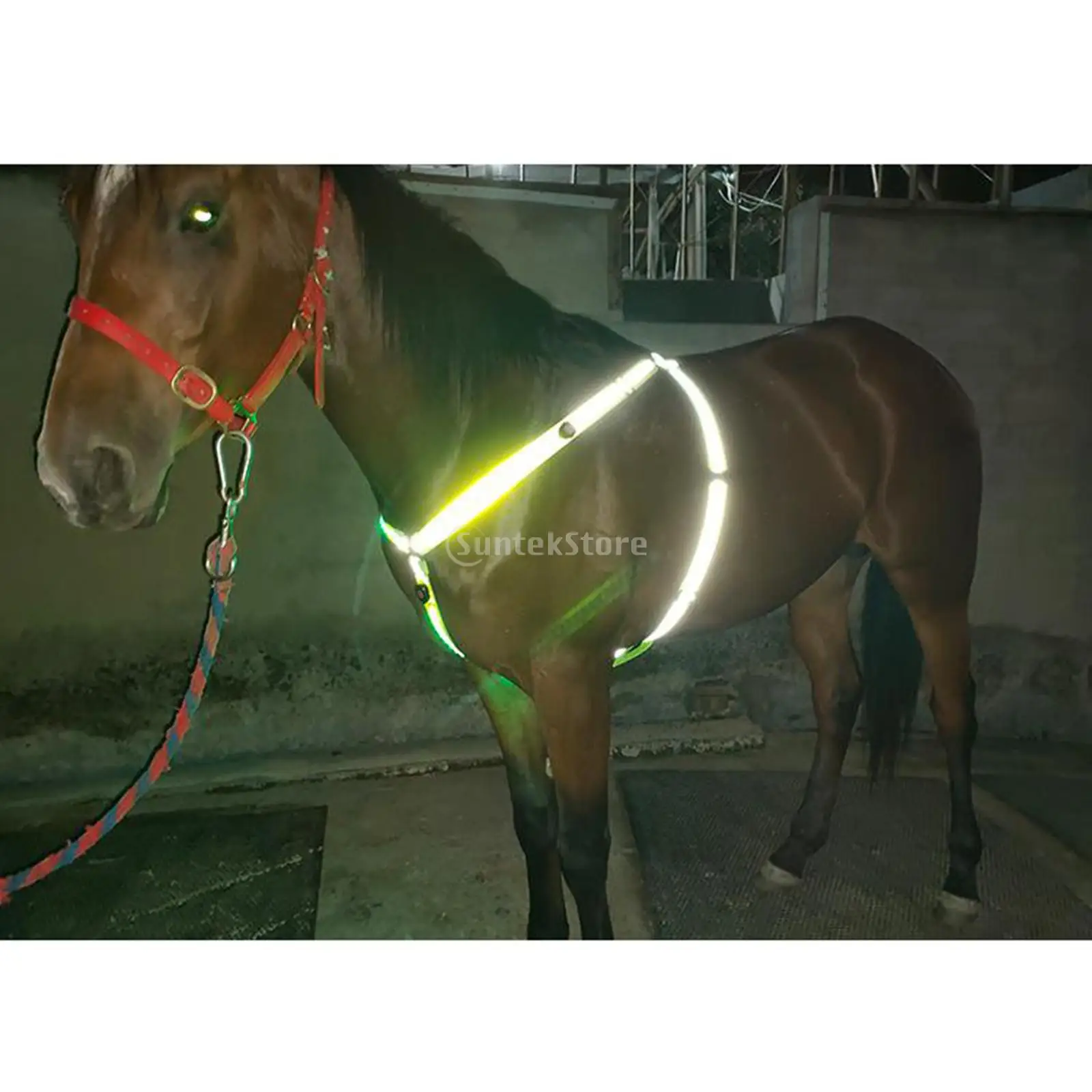 Arnés de caballo LED para el pecho, correa ajustable para el pecho, brida Halter reflectante de alta visibilidad, banda de seguridad