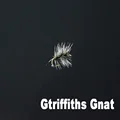 Griffith Gnat