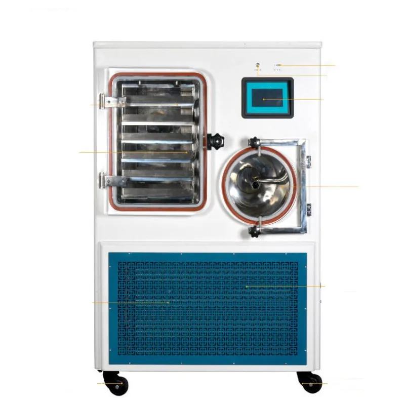 1㎡ Laboratory Vacuum Freeze Dryer Lyophilizer Machine Medium Freeze Dehydrator for Biological Research