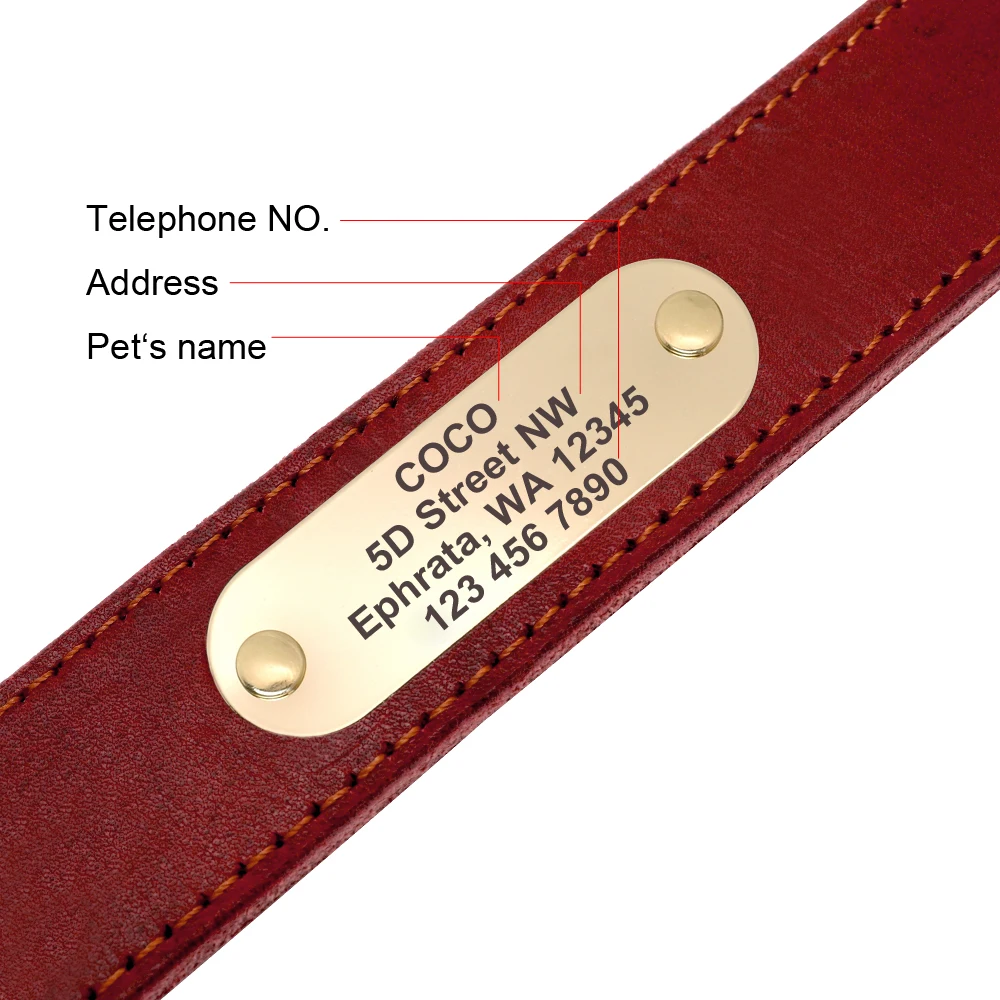 Personalized Dog Collar And Leash Set Real Leather Pet Collars Dogs Walking Lead Leash for Small Large Dogs Pitbull XXS-XL