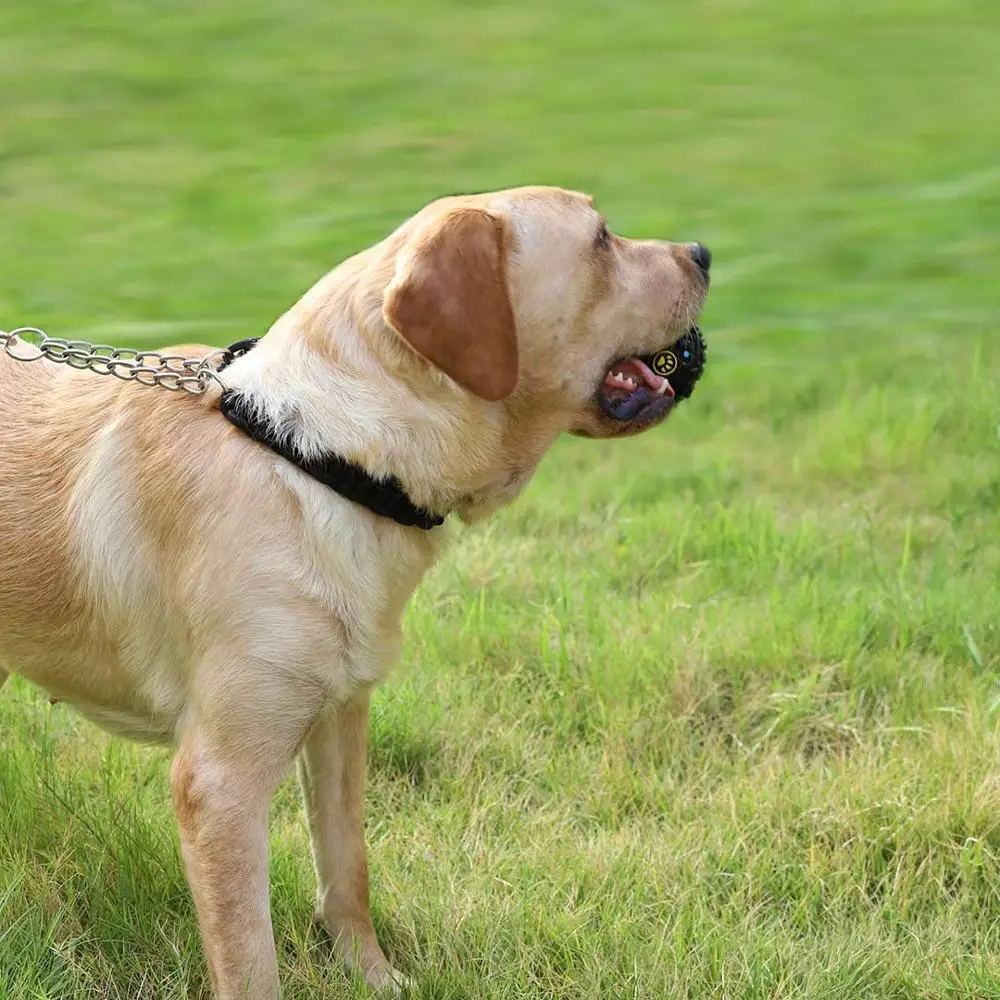 Mijia cane che perde cibo palla pet gioca cibo palla pet prodotto pet gioca con smart home