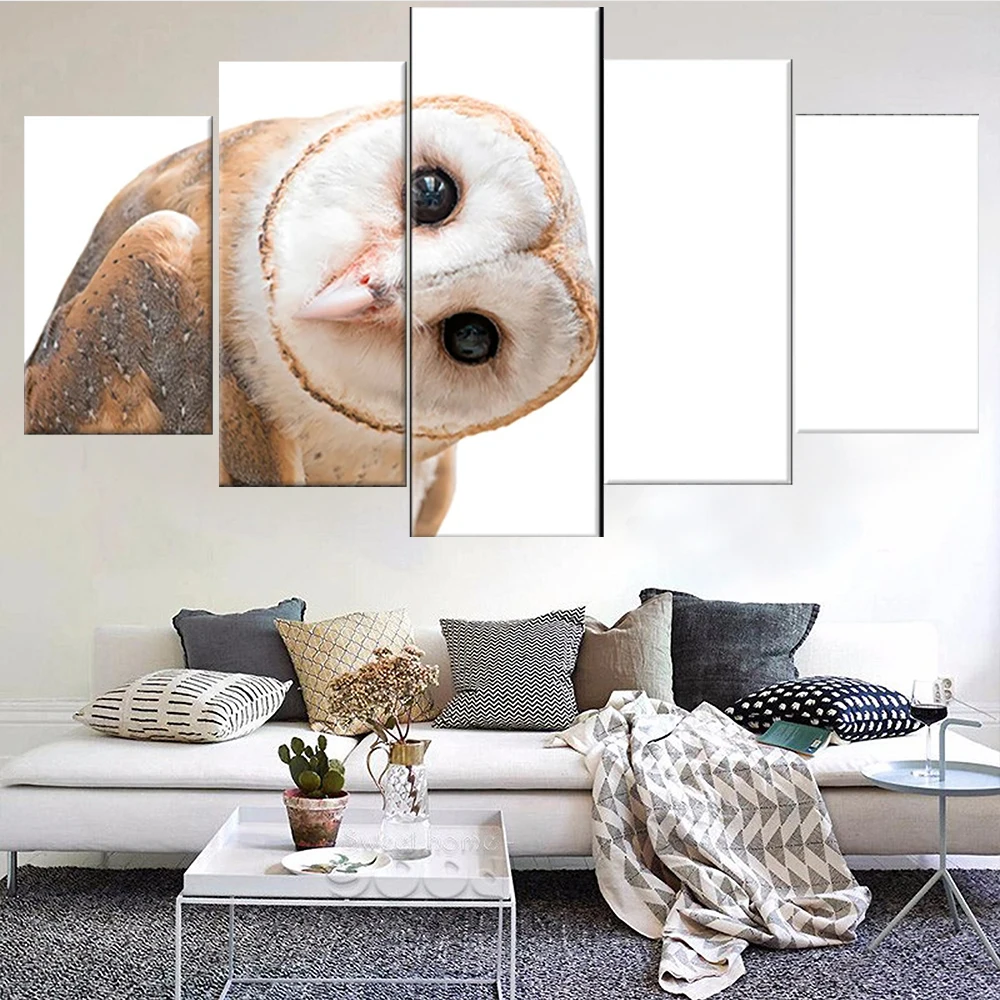 

5 Pieces Wall Art Canvas Painting Animal Poster Cute Owl Modular Pictures Modern Living Room Home Decoration Free Shipping